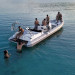 COBRA 8.50 NAUTIQUE